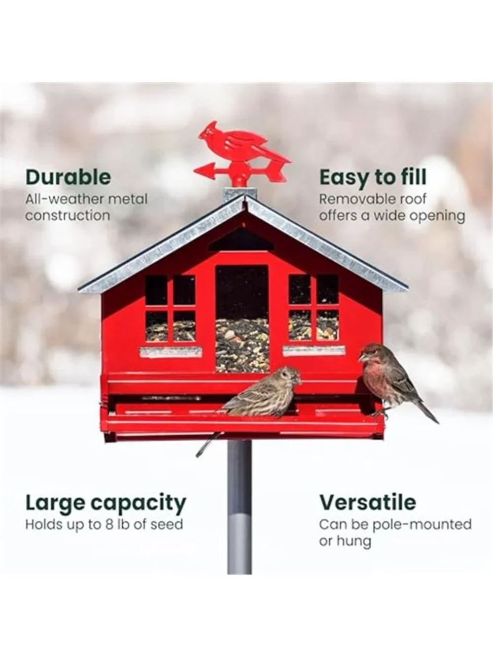 Squirrel-Be-Gone II Country Style Bird Feeder,8 lb Seed Capacity |Squirrel Proof